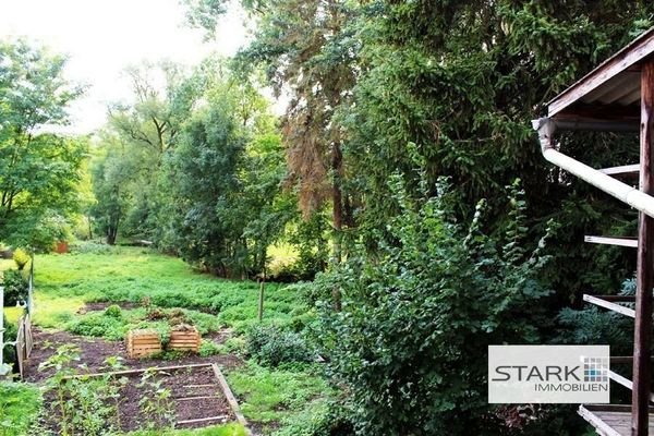 Garten.jpg