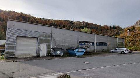 Werdohl Halle, Werdohl Hallenfläche