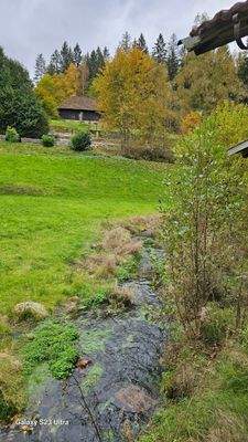 41 Bach am Grundstück