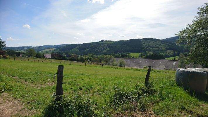 0e7e7b05-2902-4bb4-aea5-bfd3587dd785