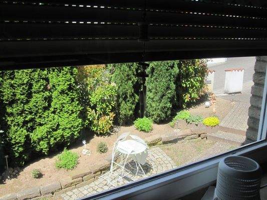 Blick aus Esszimmer EG