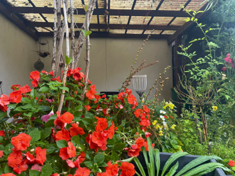 überdachte Terrasse