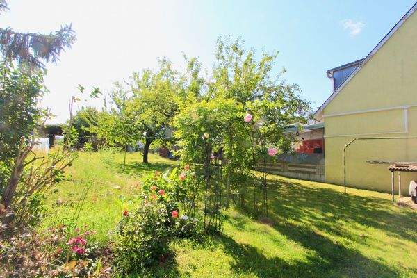 Impression Garten im Sommer