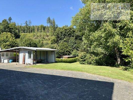 Blick von der Einfahrt in den Garten 