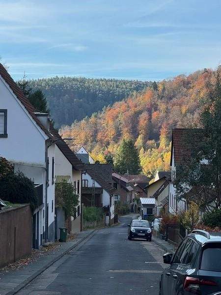 Neidenfels Wohnungen, Neidenfels Wohnung kaufen