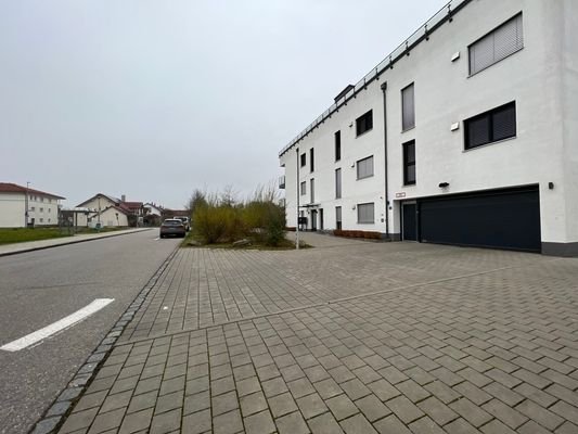 IMG_4604