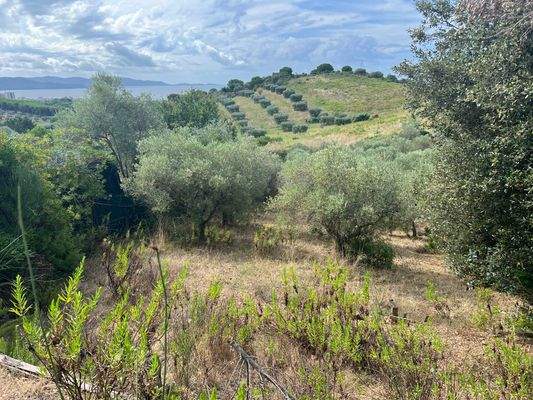 Grundstück Follonica Meerblick
