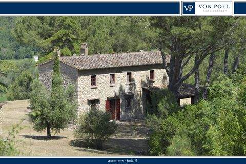 Casale Marittimo Häuser, Casale Marittimo Haus kaufen