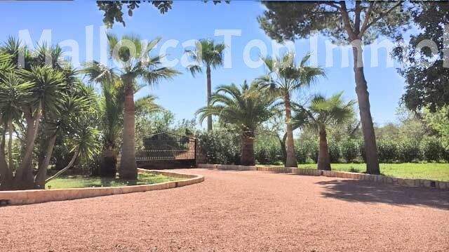 Finca Anwesen in Cas Concos