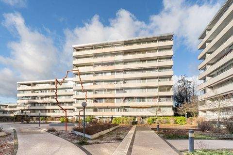 Kerpen / Türnich Wohnungen, Kerpen / Türnich Wohnung kaufen