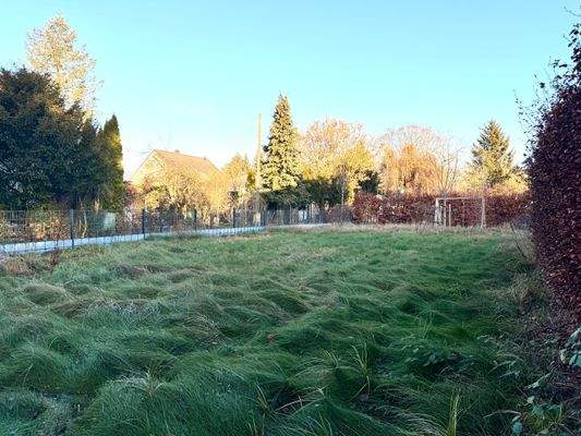Platz für Ihr Traumhaus