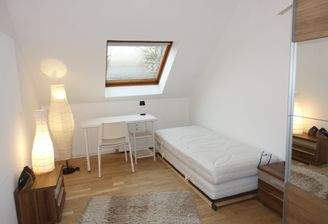 Mannh 1 Zi möbliert (4)