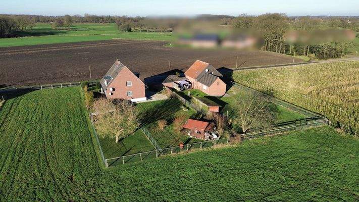 Ensemble (Rückansicht) 