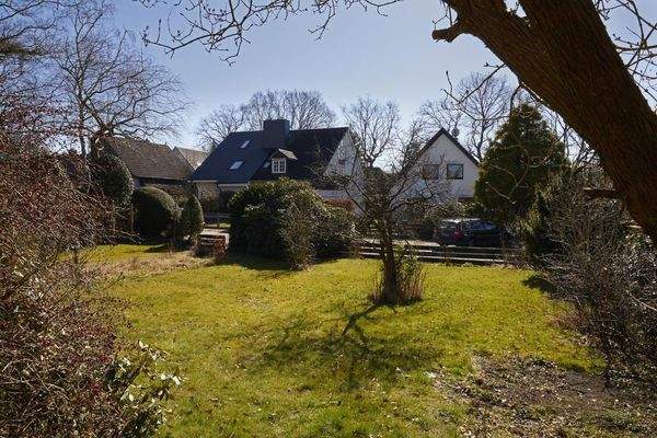 Blick nach Süden in den Garten