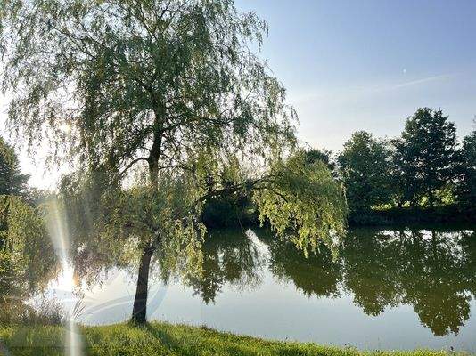 Ländliche Lage,  Naherholungsgebiet Unterallgäu - Wertachauen