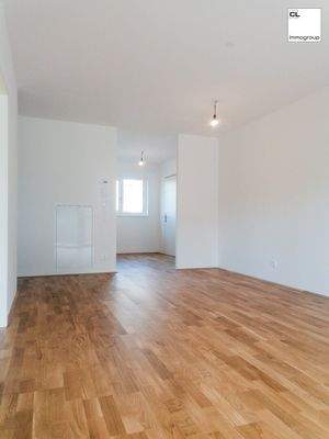 Wohnbereich mit Blick in Richtung Vorraum