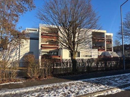 Image - 2026-01-29T102424.775.jpg