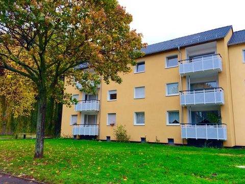 Köln Wohnungen, Köln Wohnung mieten