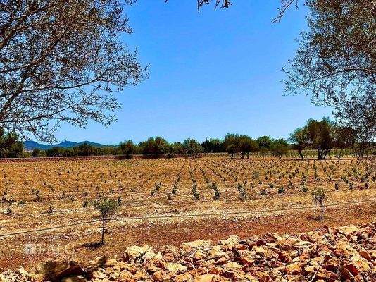 e082b1af-0552-4c83-81eb-de2755f04bd3