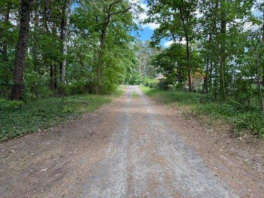 Nymphenstraße Richtung Friedrich-Engels-Damm