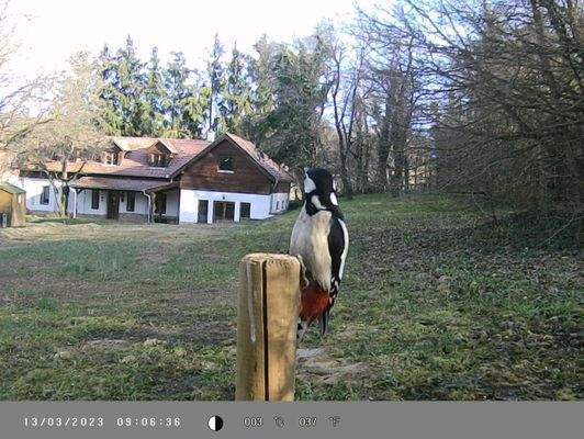 341760371_578753930701744_7037629119914978226_n.jp