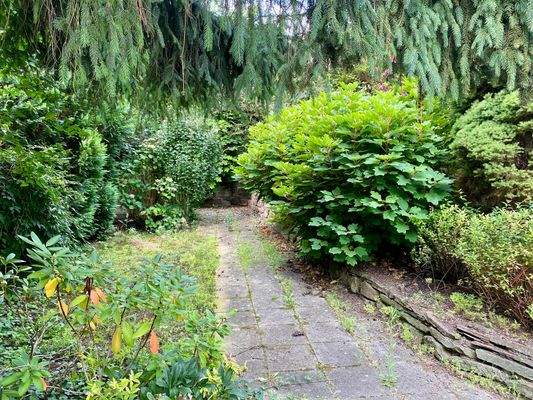 Garten.jpeg