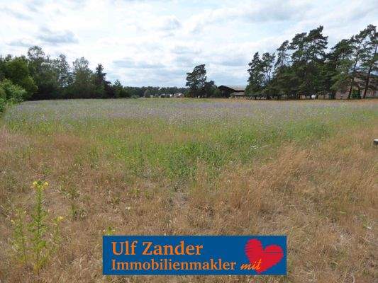 Baugrundstück mit 4.007 m²