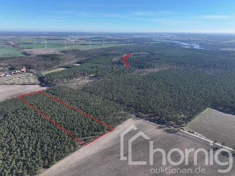 Brandenburg an der Havel Bauernhöfe, Landwirtschaft, Brandenburg an der Havel Forstwirtschaft