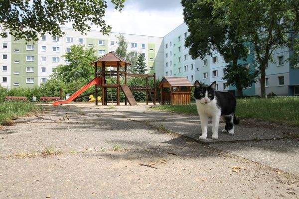 Umfeld des Wunschobjektes