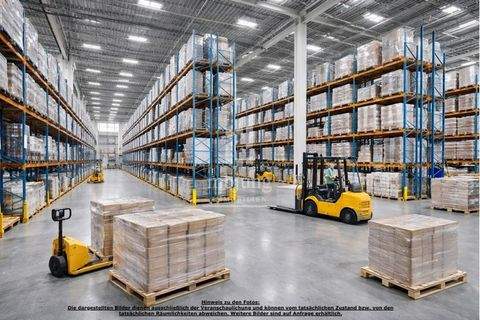 Homburg Halle, Homburg Hallenfläche