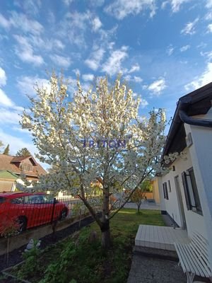 Bild 30