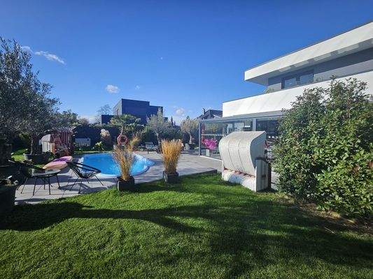 Blick in Garten / Sommer 2025