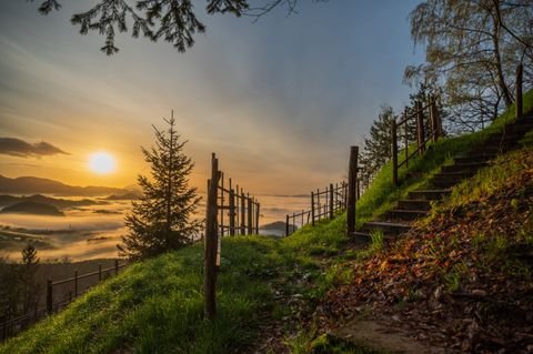 Celje Renditeobjekte, Mehrfamilienhäuser, Geschäftshäuser, Kapitalanlage