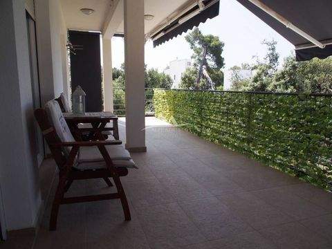 Petrcane - Kozino Wohnungen, Petrcane - Kozino Wohnung kaufen