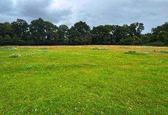 a60efc3a-9089-4a83-b877-f7ff922d31c1_SnapseedCopy.