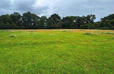 Oldenburg Wohnungen, Oldenburg Wohnung kaufen