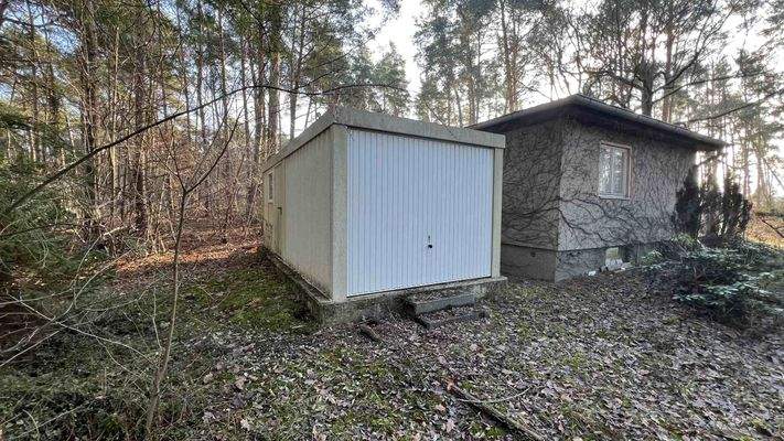 1123-2024-12-15 045.jpg