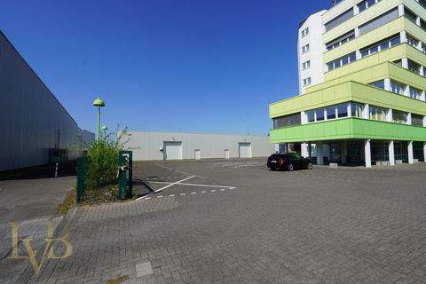 Gronau Halle, Gronau Hallenfläche