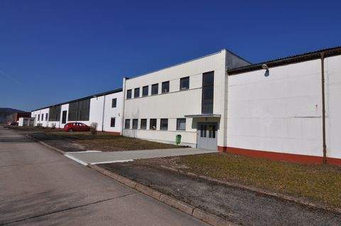 Zella-Mehlis Halle, Zella-Mehlis Hallenfläche