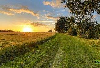 Keine Originalbilder