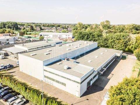 Langenfeld Halle, Langenfeld Hallenfläche