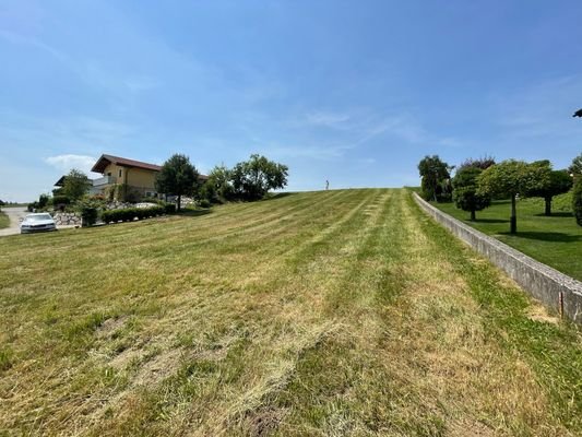 IMG_1701