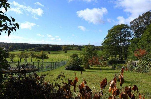 Blick übers Grundstück