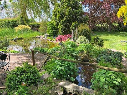 29 makellos EFH Schorrentin.JPG