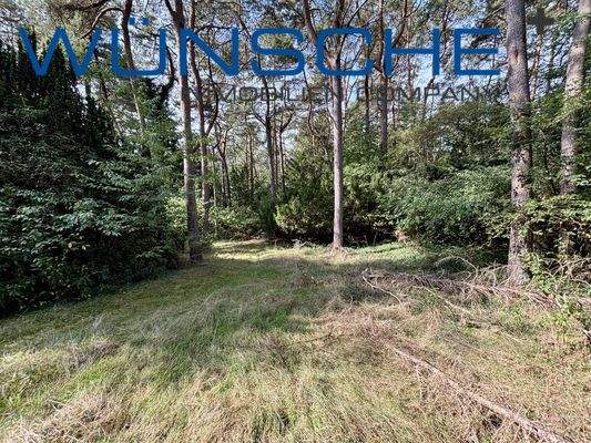 Weitläufiger Garten 