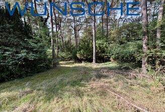 Weitläufiger Garten 