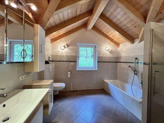 Wohnhaus Neu - Bad 2