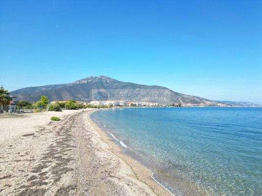 125792a6378c450e80019f69d3a52209-original