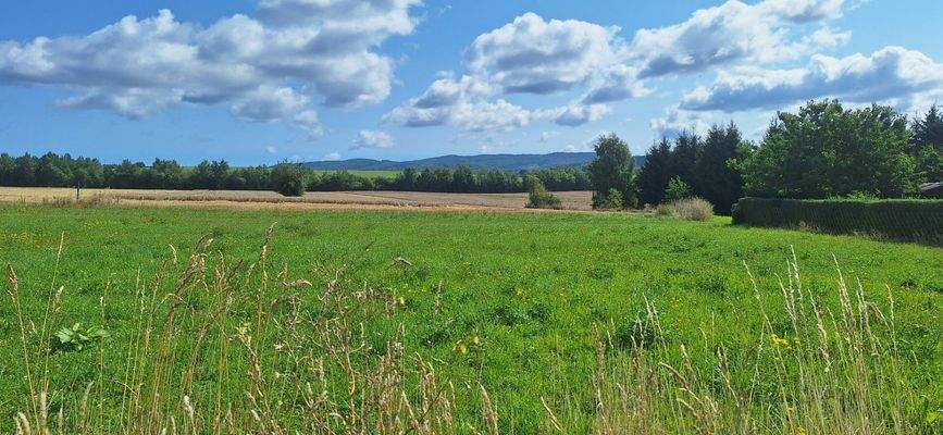 Ausblick in den Thüringer Wald