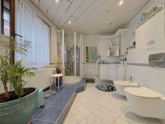 weitere Ansicht Tageslichtbad Erdgeschoss